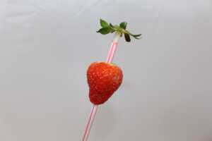 Erdbeeren von Stiel befreien